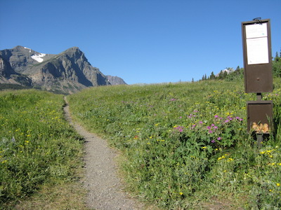 Triple Divide Pass Trailhead from Cut Bank Glacier National Park