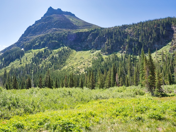 Medicine Grizzly Peak, Glacier National Park