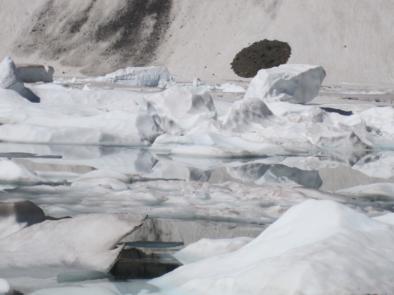 Iceberg Lake in July, Glacier National Park