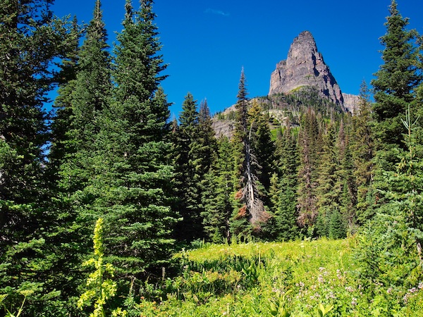 Pumpelly Pillar, Two Medicine, Glacier National Park