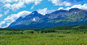 Little Dog Mountain, Summit Mountain, and "The Mummy", Glacier National Park