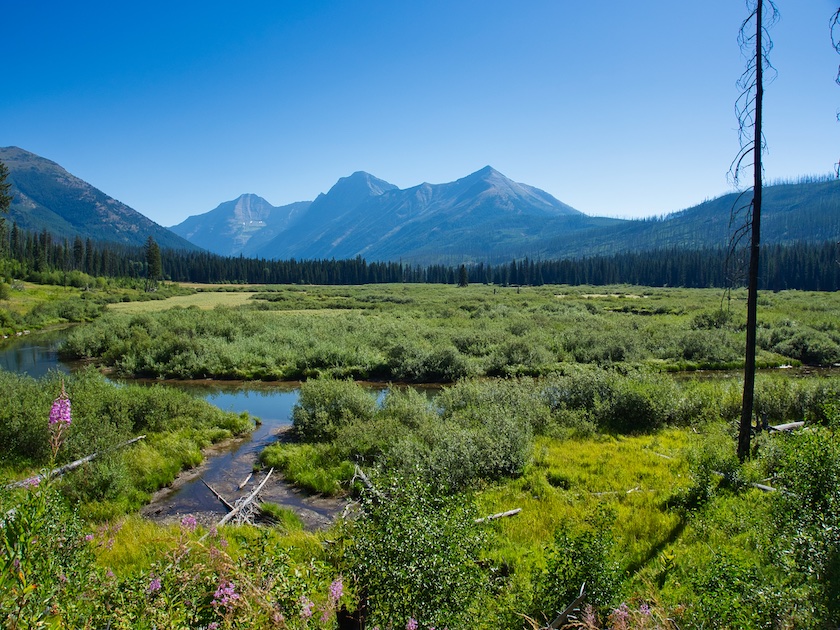 Rogers Meadow, Glacier National Park