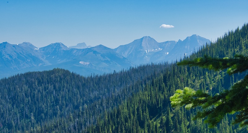 Looking East at the Livingston Range from Huckleberry Fire Lookout Trail, Glacier National Park
