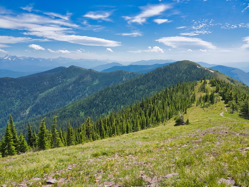 Looking Down the South Ridge of Huckleberry Mountain, Glacier National Park