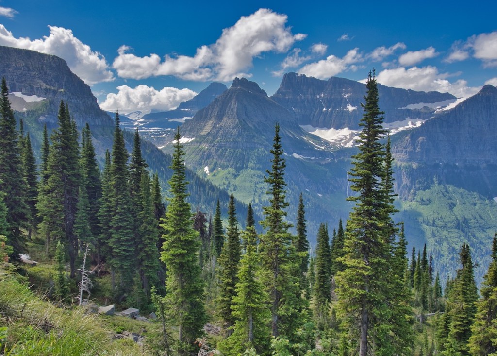 Bird Woman Falls, Glacier National Park