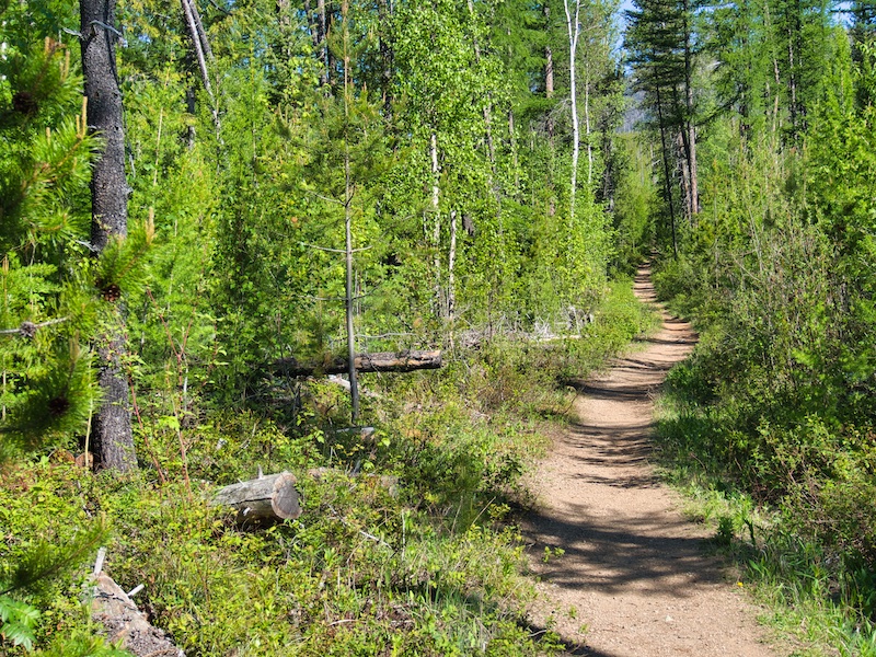 Glacier National Park, Apgar Fire Lookout Trail