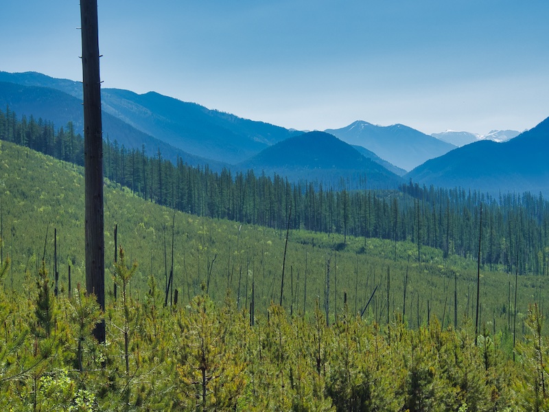 Glacier National Park, Apgar Fire Lookout Trail