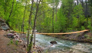 Glacier National Park, Lincoln Creek suspension bridge