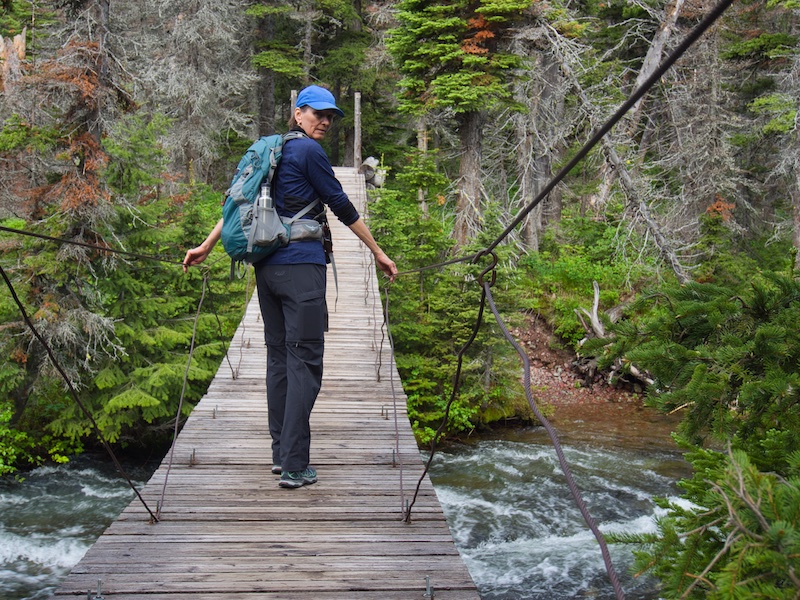 Glacier National Park: suspension bridge