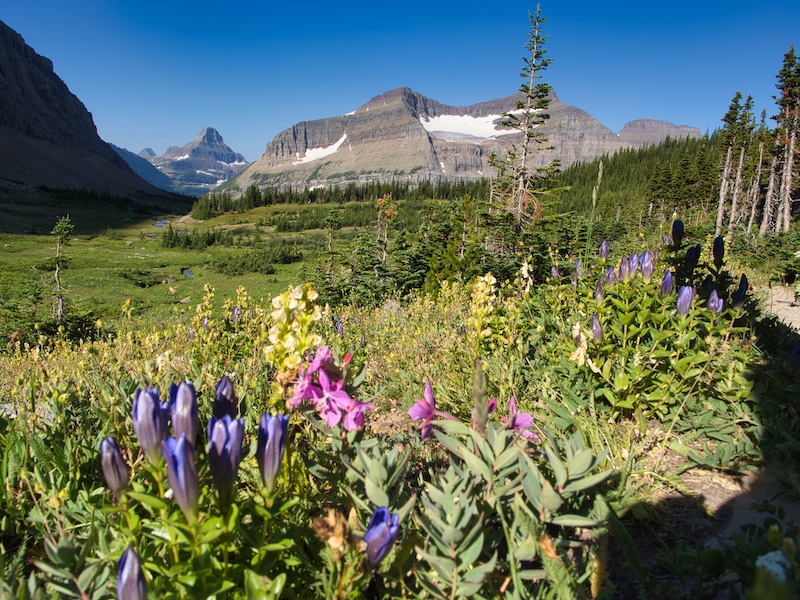 Glacier National Park, Preston Park