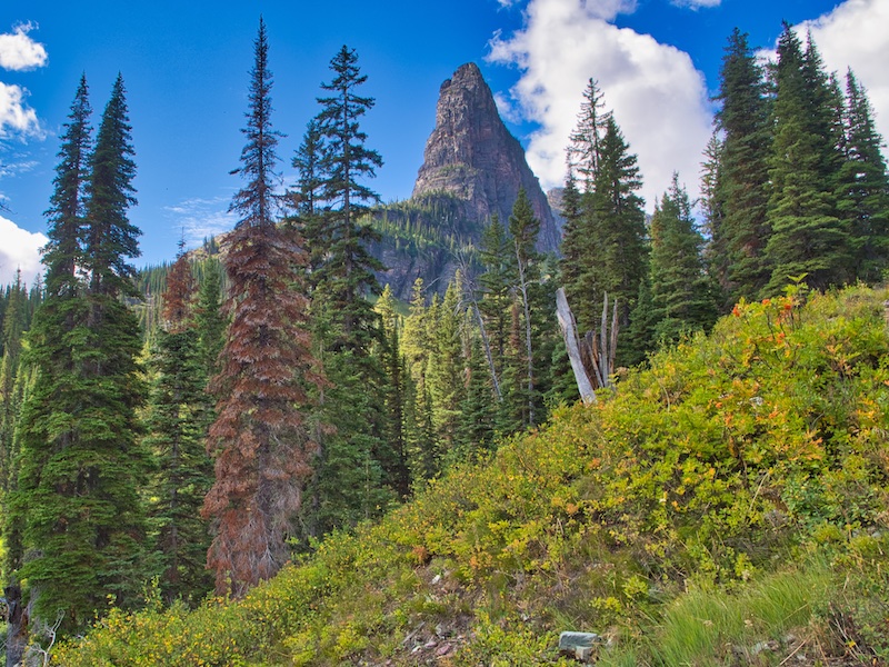 Pumpelly Pillar Spire, Two Medicine, Glacier National Park