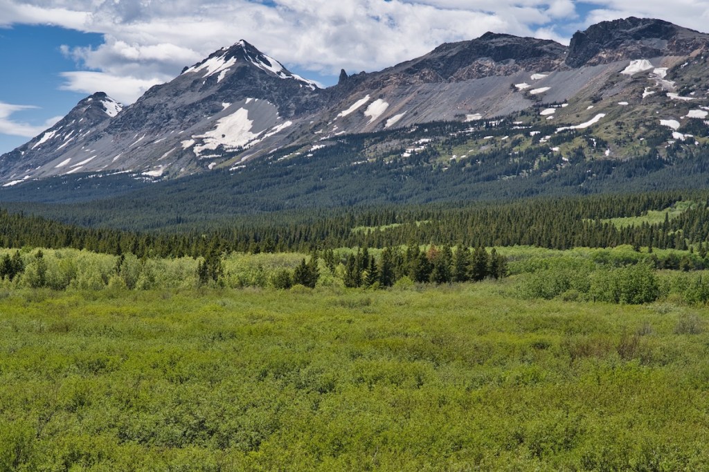 Glacier National Park, Little Dog Mountain and Summit Mountain