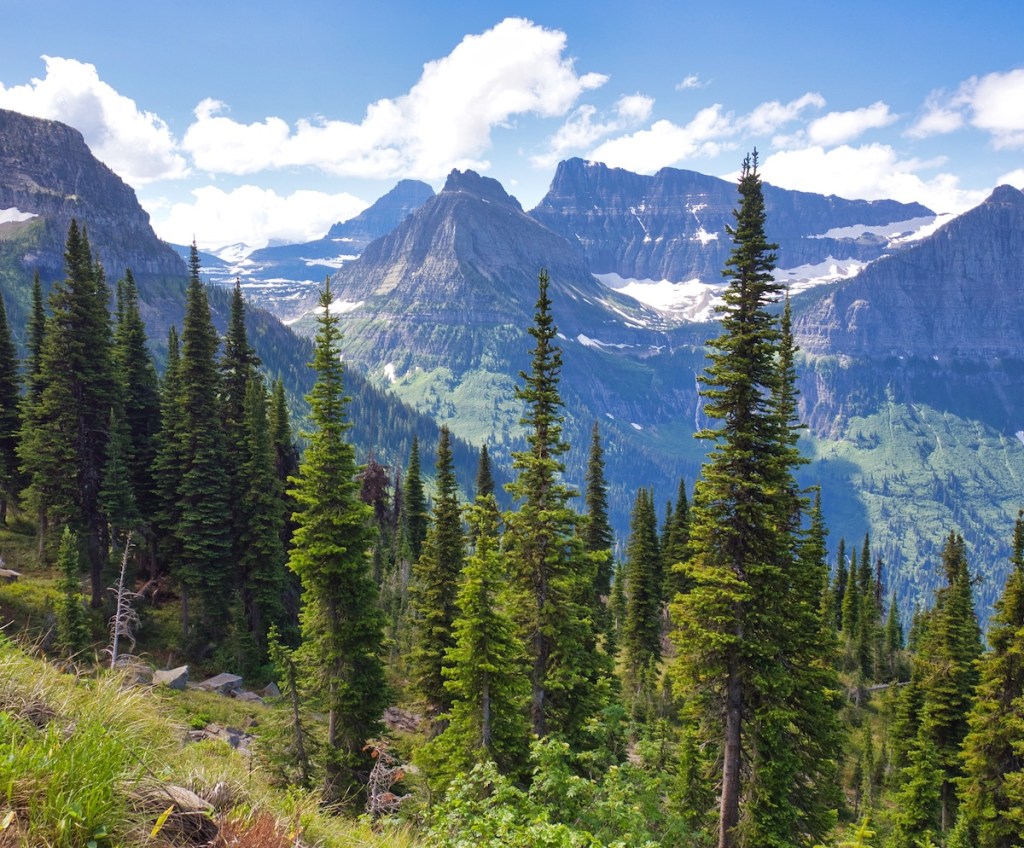View of Bird Woman Falls from the Highline Trail in Glacier National Park