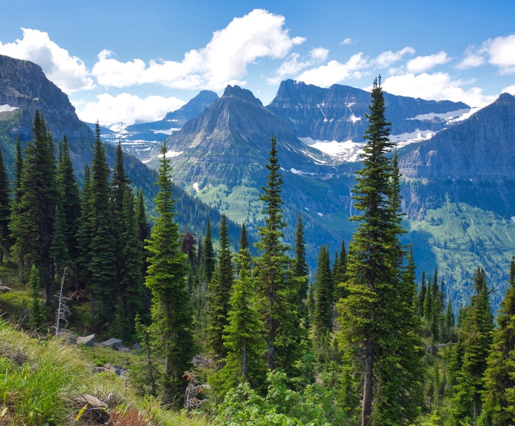 Glacier National Park: views from the Highline Trail