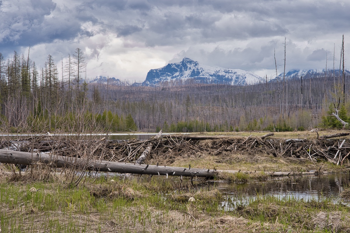 Howe Lake Howe Lake – EXPERIENCE GLACIER NATIONAL PARK