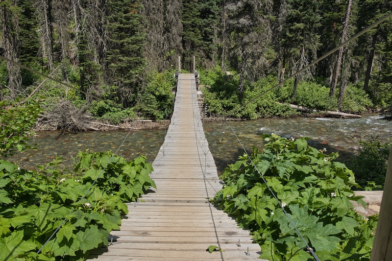 Suspension bridge over Reynolds Creek, Glacier National Park