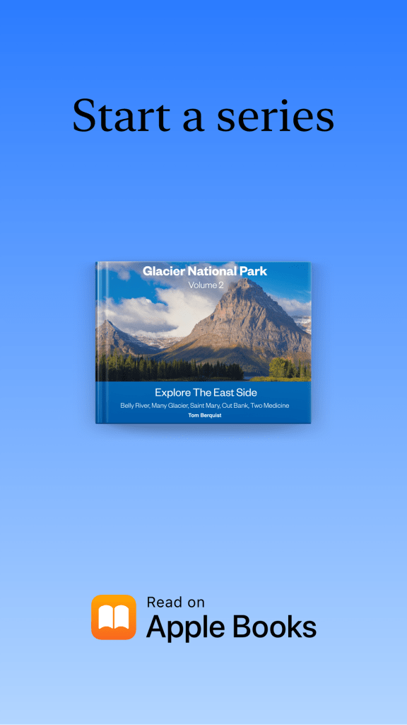 Image used as a linked logo to Apple Books