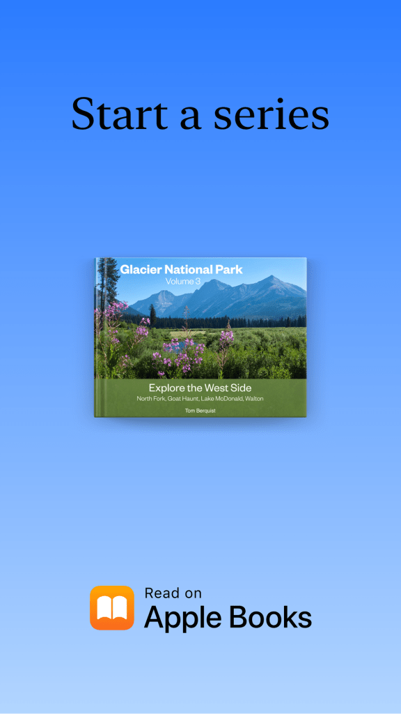 Image used as a linked logo to Apple Books