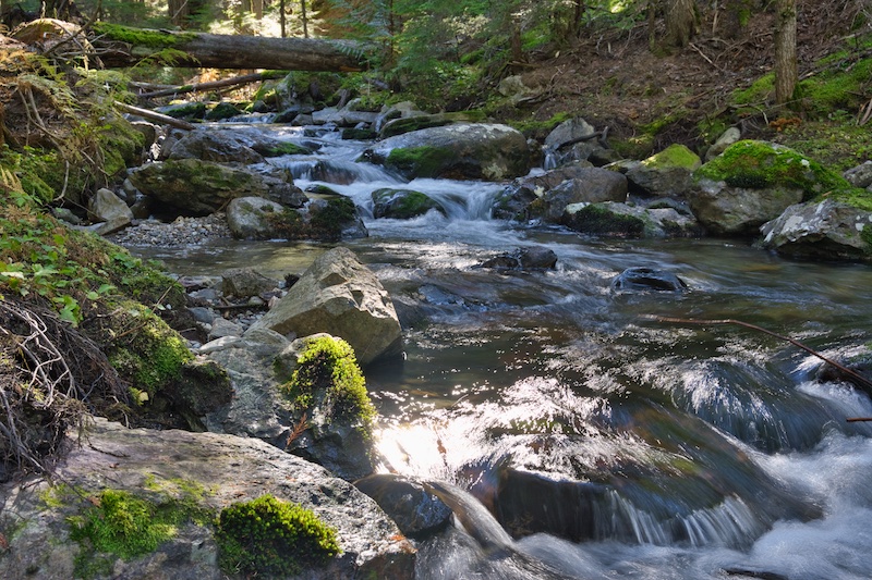 Glacier National Park, Sprague Creek