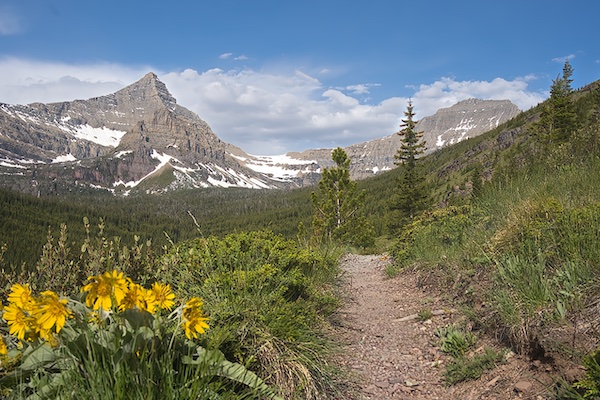 Flinsch Peak and Mount Morgan, Glacier National Park