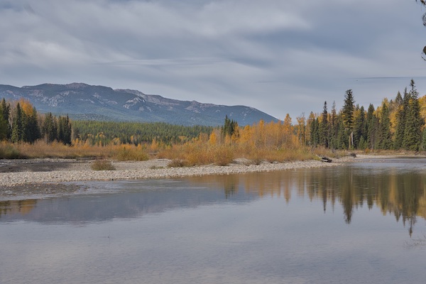 North Fork of the Flathead River from Kishenehn Ranger Cabin Trail