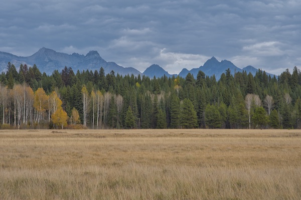 Glacier National Park, Livingston Range Peaks from Big Prairie