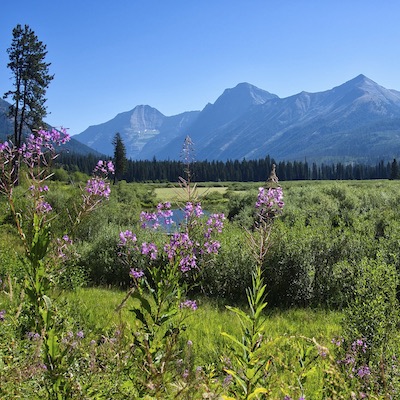 Image and link to a category page